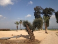Pie Galilejas jūras